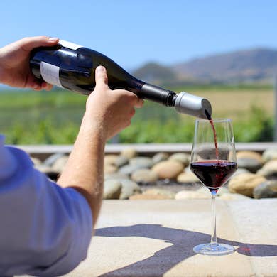 The Wave® Wine Purifier & Aerator - Something Splendid Co.