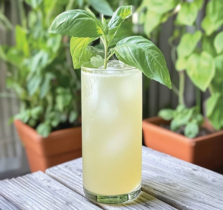 1pt Basil Breeze Cocktail Pack - Something Splendid Co.