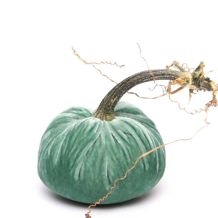 Lagoon Silk Velvet Pumpkin