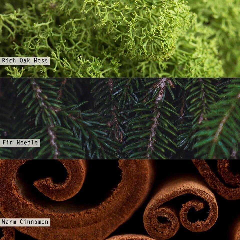 Balsam & Cedar Demi Vanity Tin Candle - Something Splendid Co.