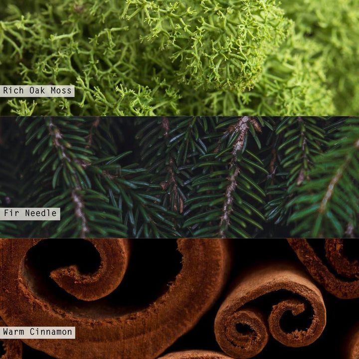 Balsam & Cedar Demi Vanity Tin Candle - Something Splendid Co.