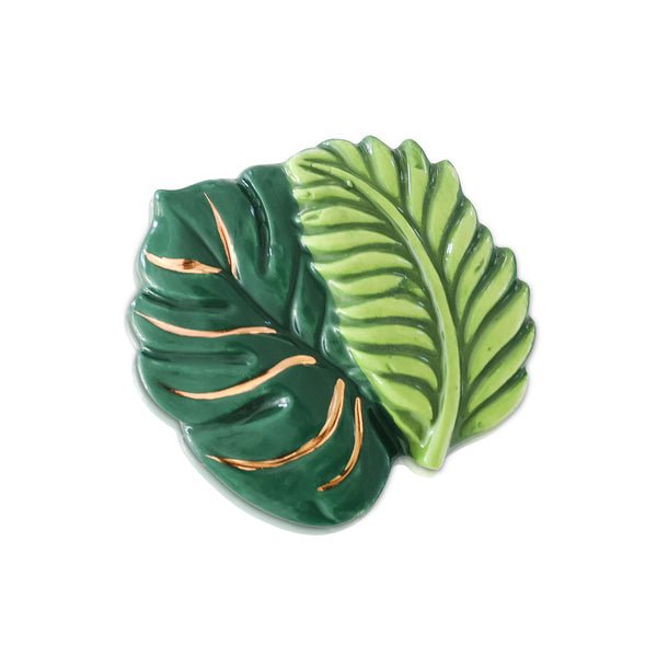 Best Ferns Forever Mini - Something Splendid Co.