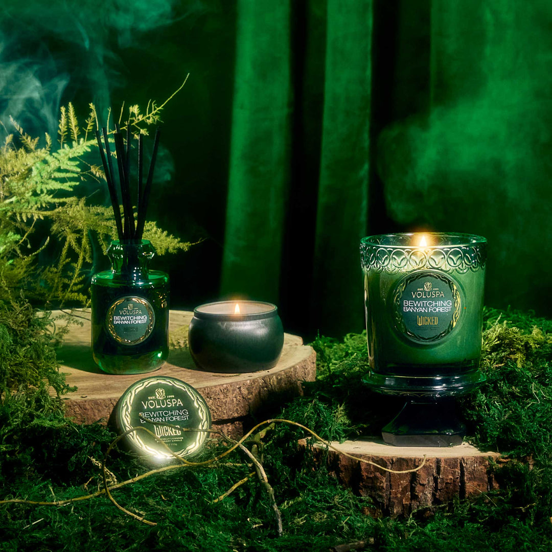 Bewitching Banyan Forest Boxed Candle - Something Splendid Co.