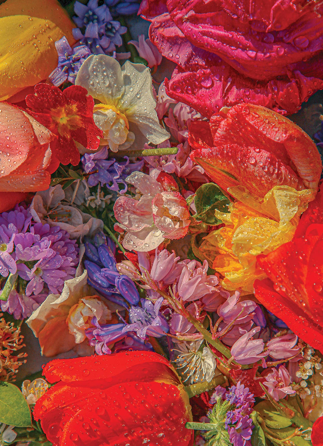 Blossom - 1000 Piece Puzzle - Something Splendid Co.