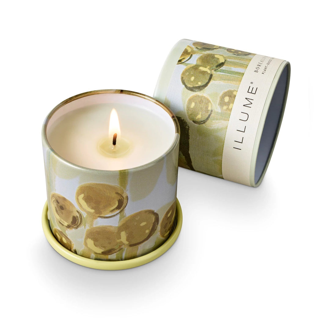 Borealis Moss Demi Vanity Tin Candle - Something Splendid Co.