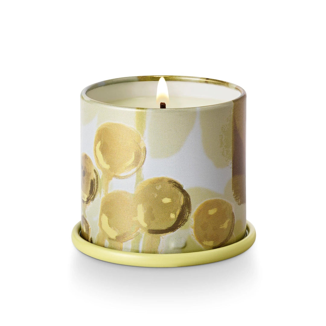 Borealis Moss Demi Vanity Tin Candle - Something Splendid Co.