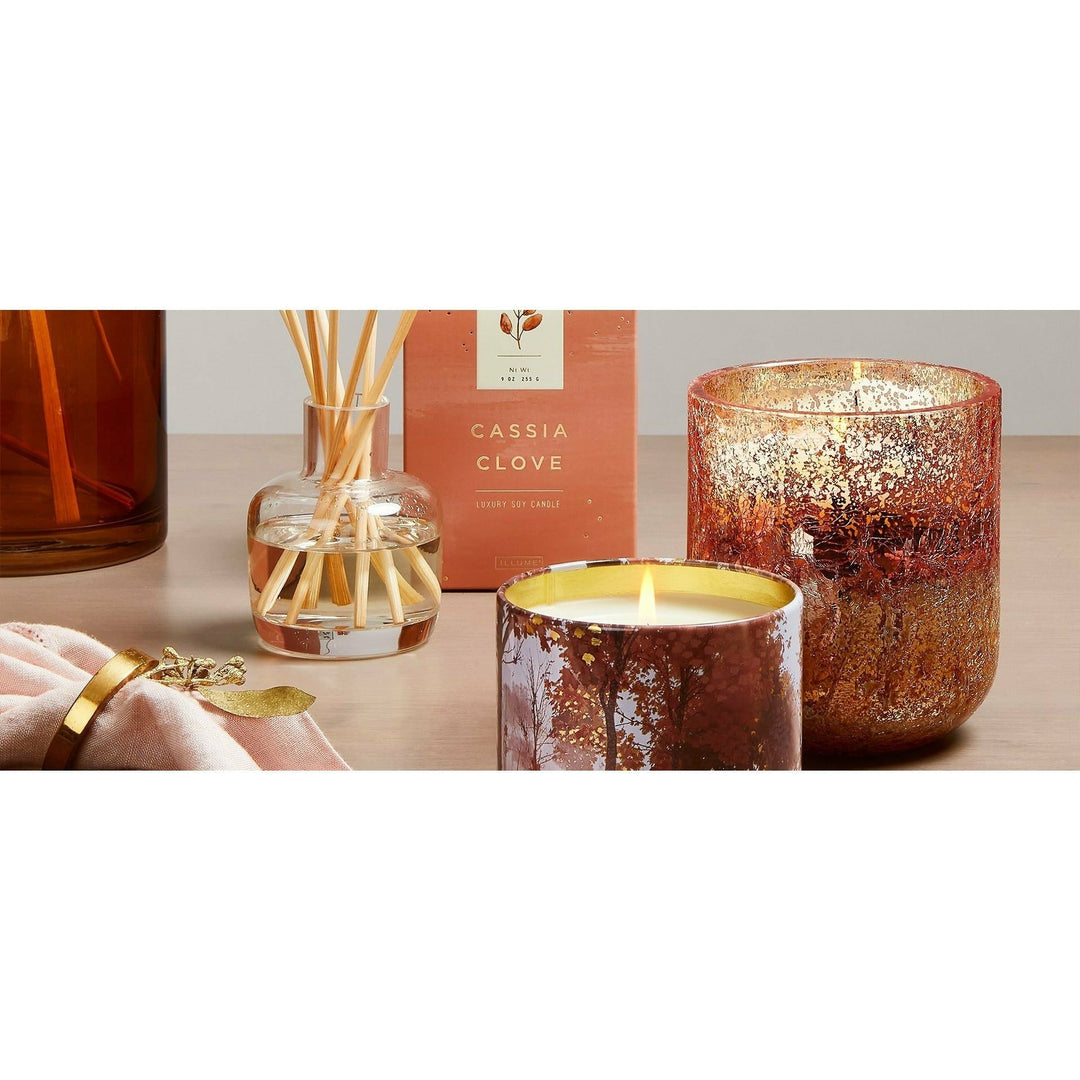 Cassia Clove Soy Candle - Something Splendid Co.