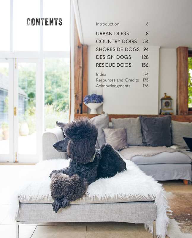 Cool Dogs, Cool Homes by Geraldine James - Something Splendid Co.