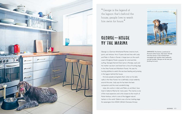 Cool Dogs, Cool Homes by Geraldine James - Something Splendid Co.