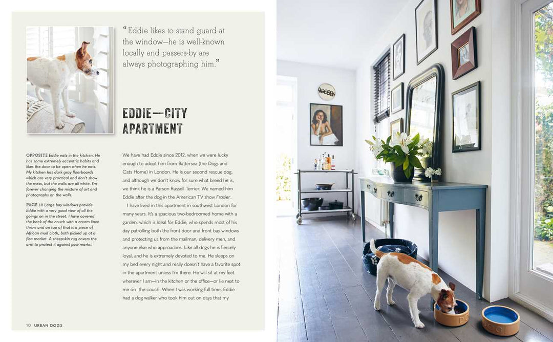 Cool Dogs, Cool Homes by Geraldine James - Something Splendid Co.