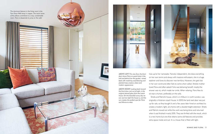 Cool Dogs, Cool Homes by Geraldine James - Something Splendid Co.