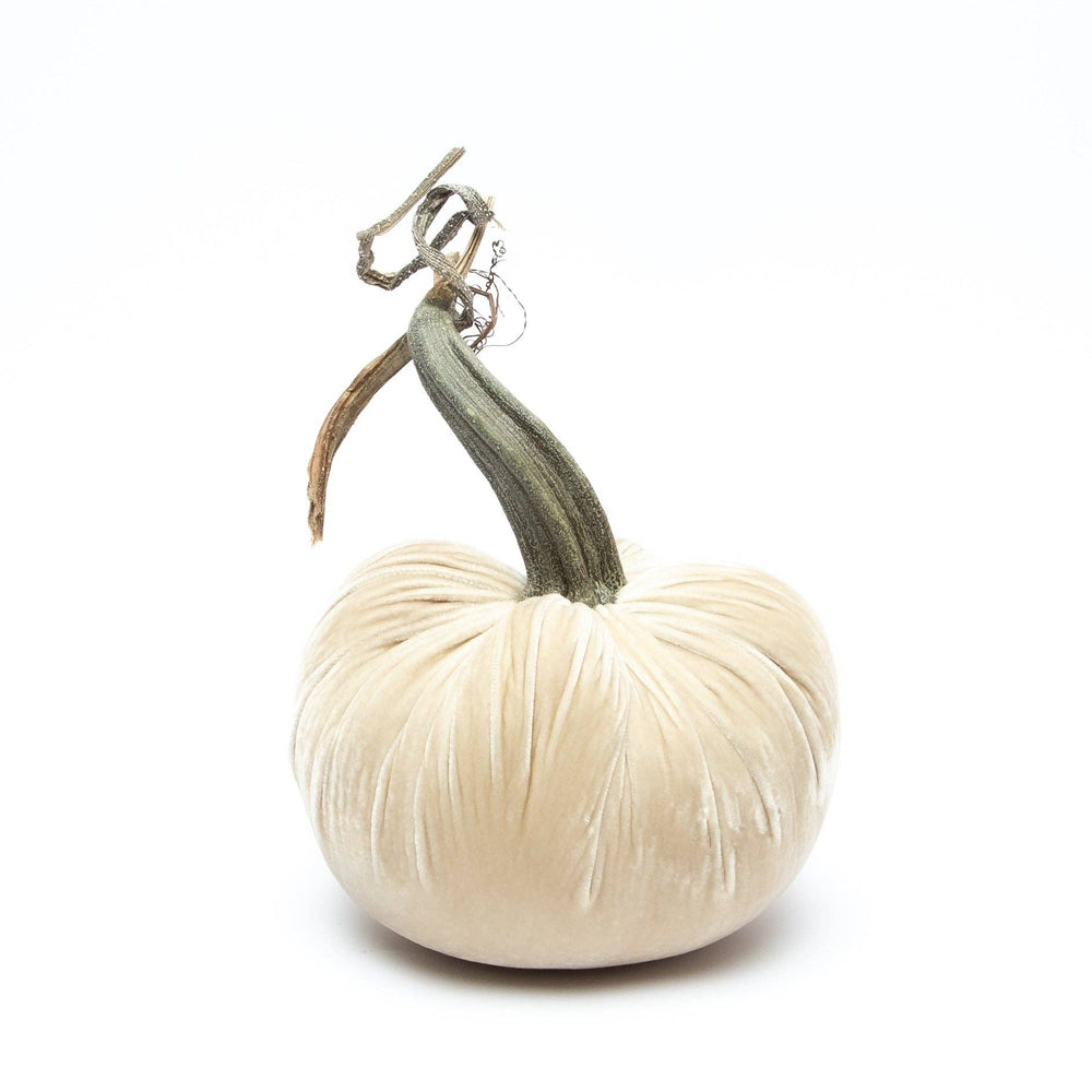 Cream Silk Velvet Pumpkin - Something Splendid Co.