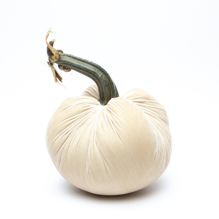 Cream Silk Velvet Pumpkin - Something Splendid Co.
