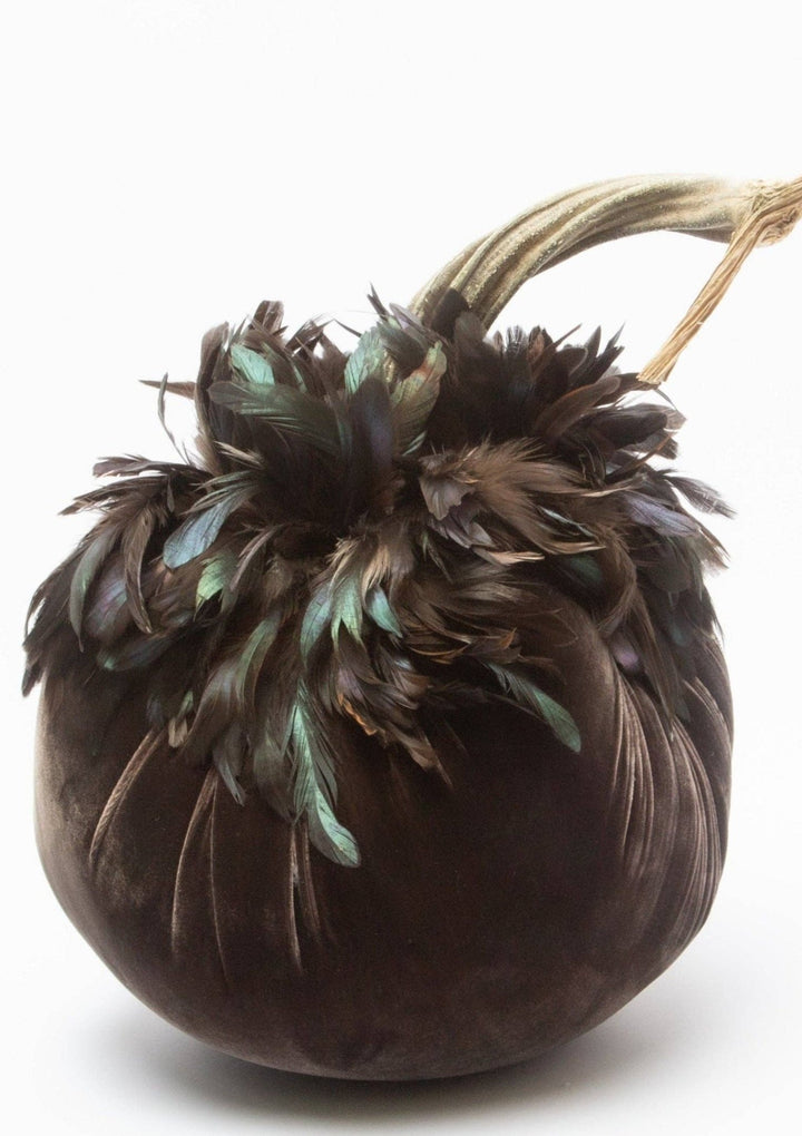 Espresso w/ Bronze Feather Collar - Something Splendid Co.