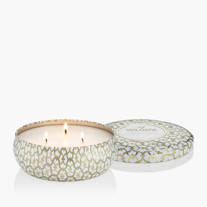 Eucalyptus & White Sage 3 Wick Tin Candle - Something Splendid Co.