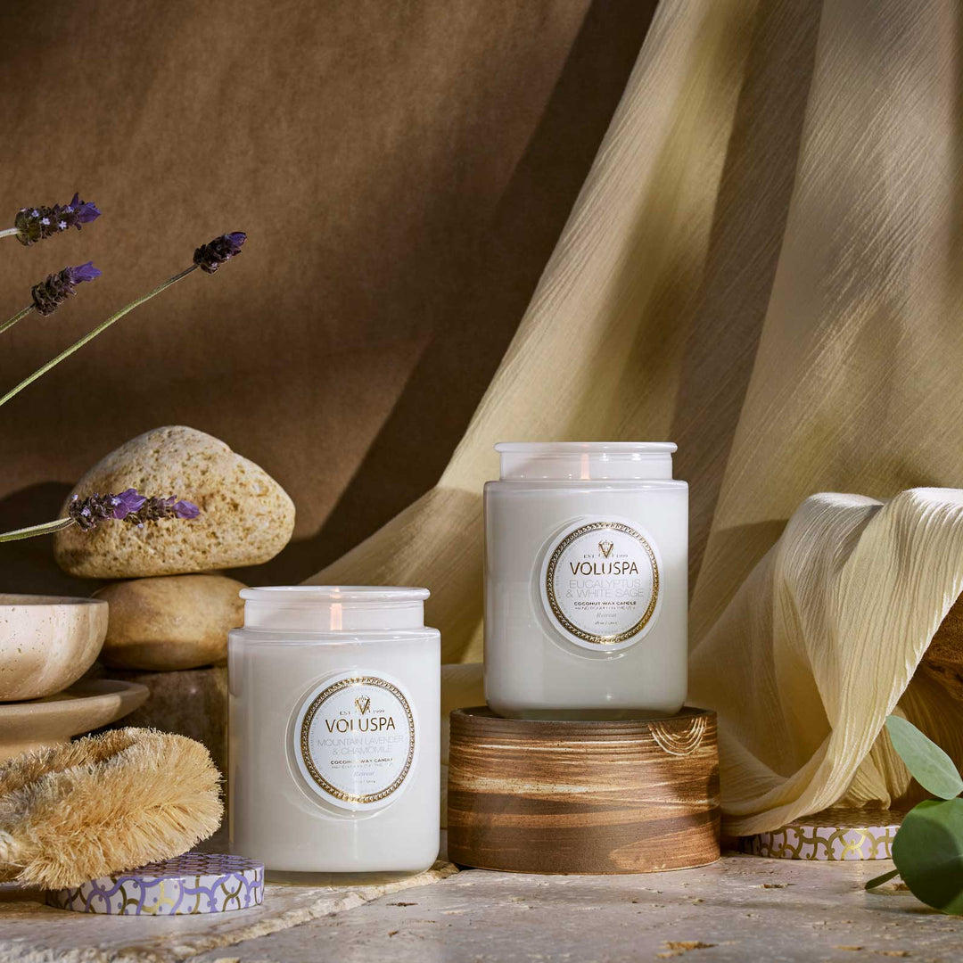 Eucalyptus & White Sage Large Jar Candle - Something Splendid Co.