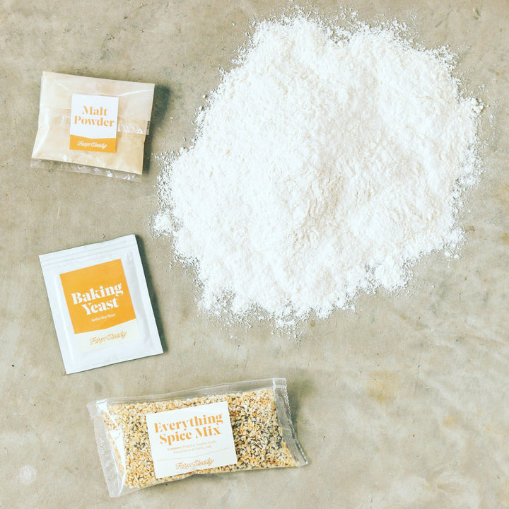 Everything Bagel Making Mix - Something Splendid Co.