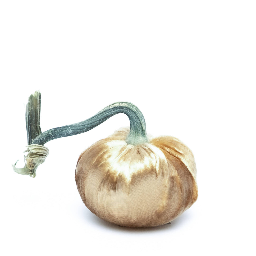 Brass Silk Velvet Pumpkin