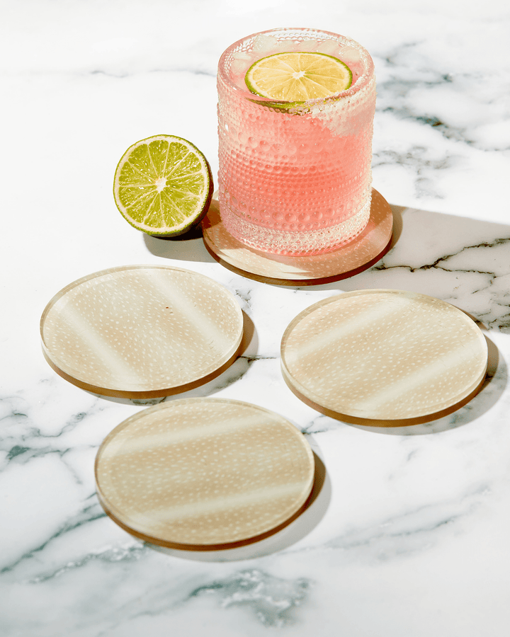 Fawn Print Coaster - Something Splendid Co.