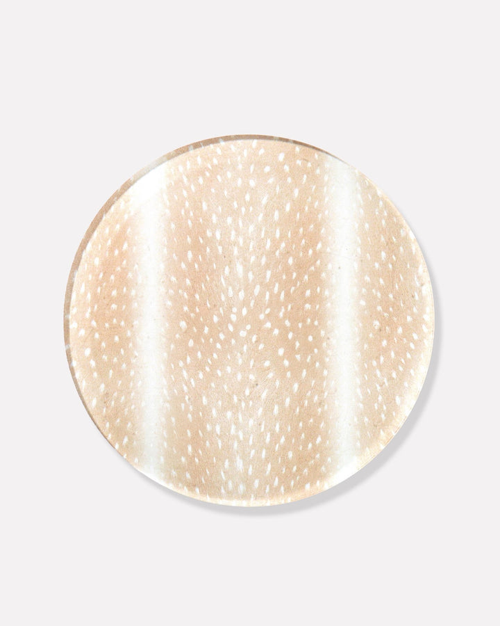 Fawn Print Coaster - Something Splendid Co.
