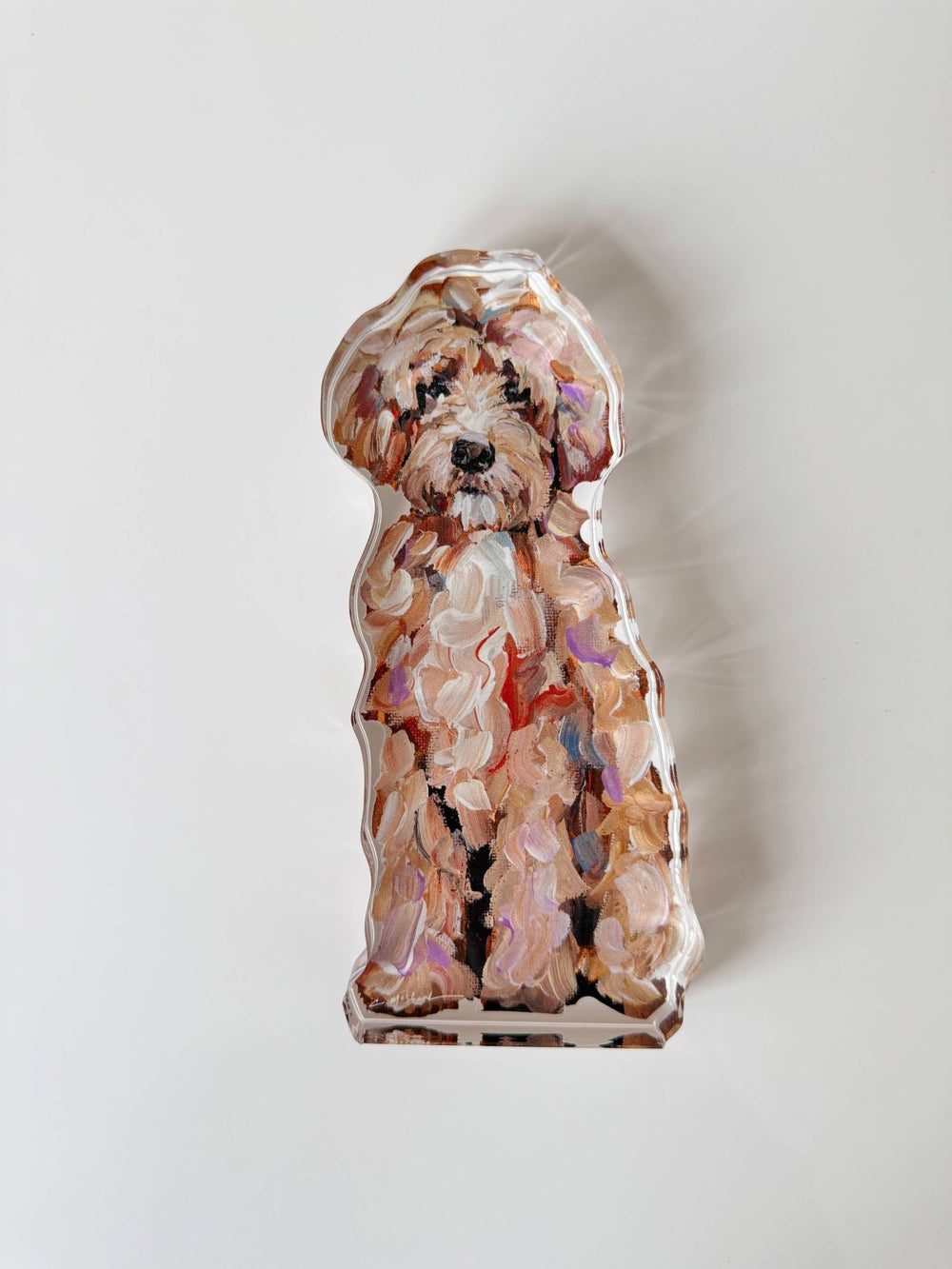 “Goldendoodle Classic” acrylic shelfie WHOLESALE - Something Splendid Co.