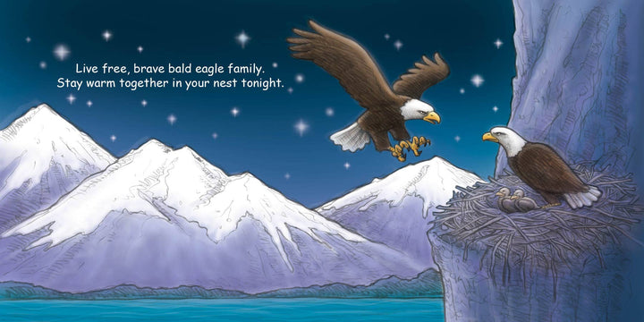 Good Night America - Something Splendid Co.