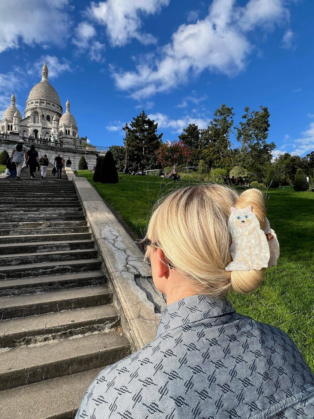 Hand - painted Persian Cat Claw Hair Clip | Eco - Friendly - Something Splendid Co.