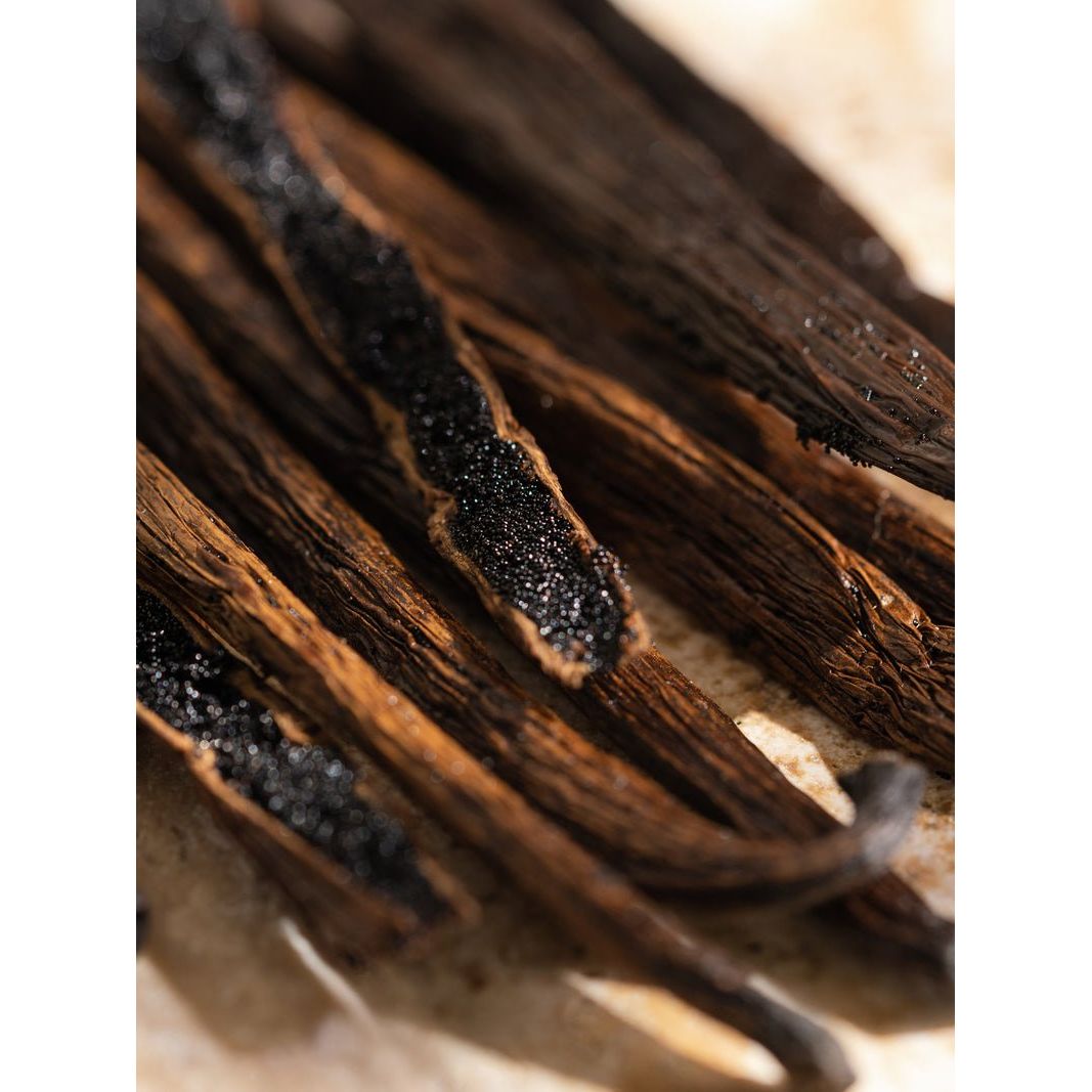Capri Blue Havana Vanilla Diffuser Oil - Thumbnail 4