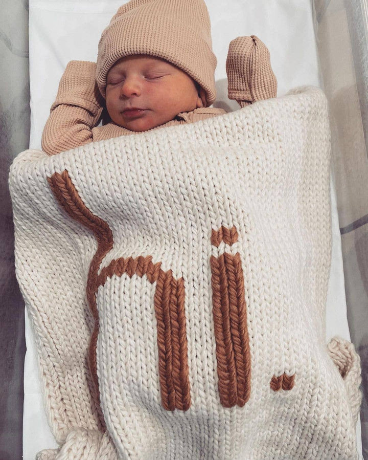 Hi. Hand Knit Baby Blanket Pecan - Something Splendid Co.