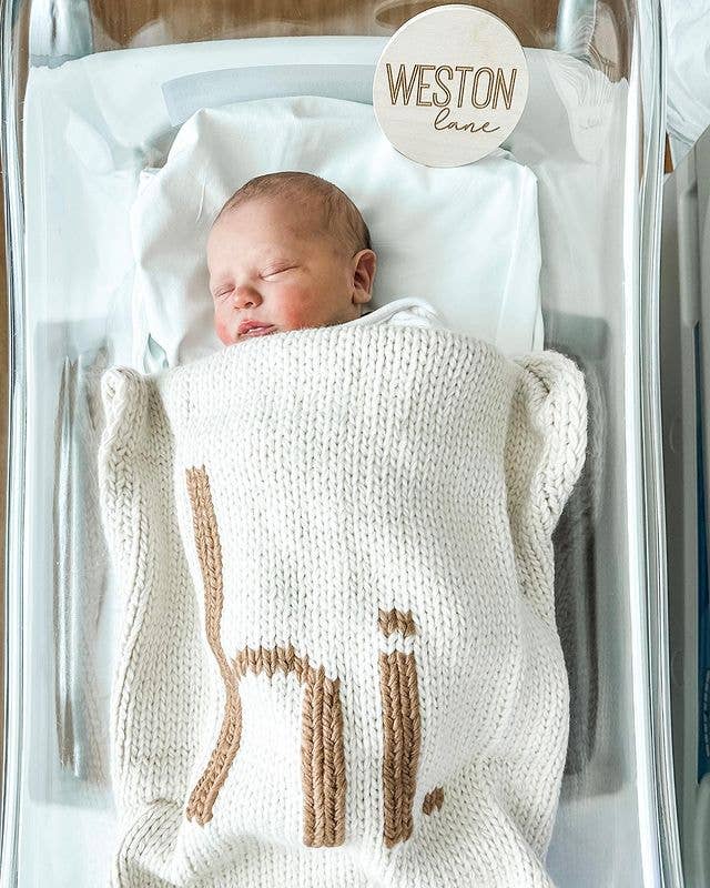 Hi. Hand Knit Baby Blanket Pecan - Something Splendid Co.