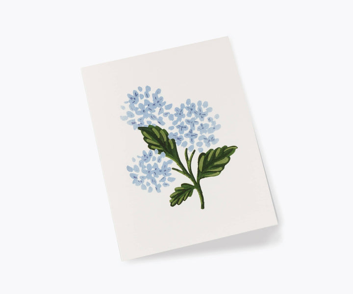 Hydrangea Bloom Card - Something Splendid Co.