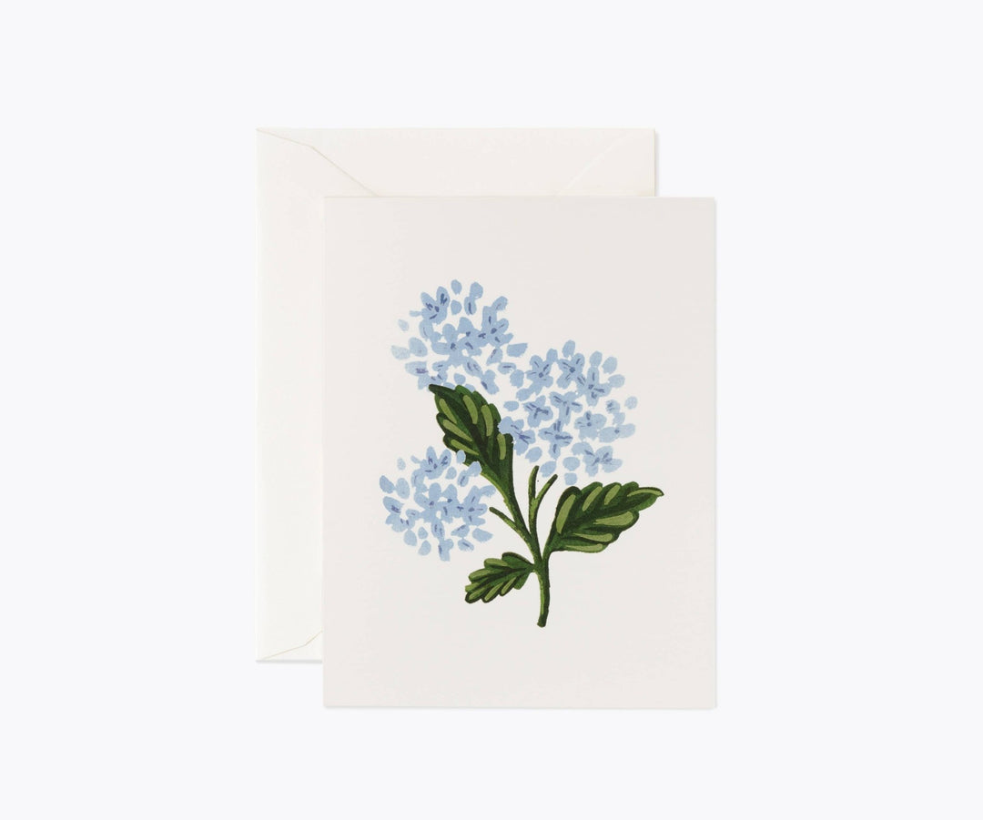 Hydrangea Bloom Card - Something Splendid Co.
