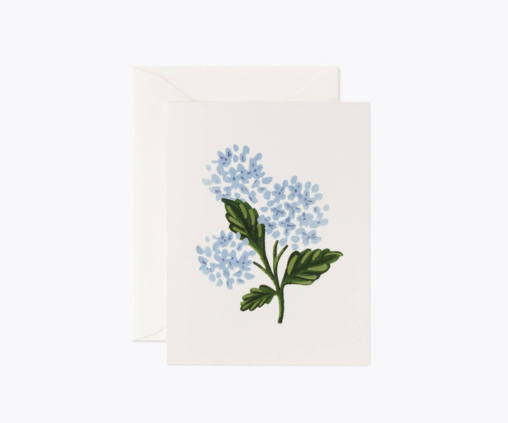Hydrangea Bloom Card - Something Splendid Co.