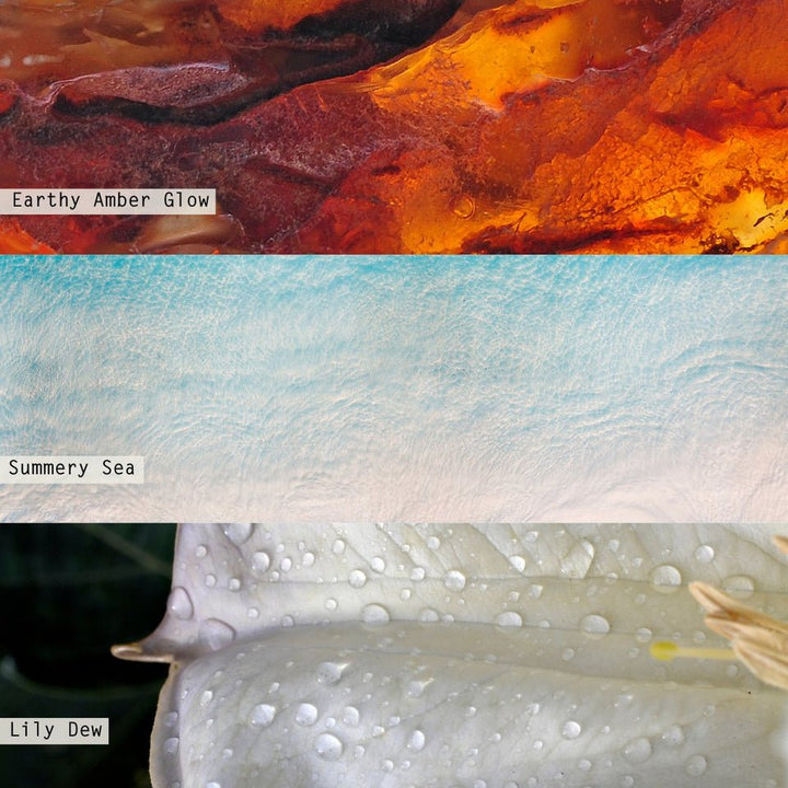 Isla Lily Vanity Tin Candle - Something Splendid Co.