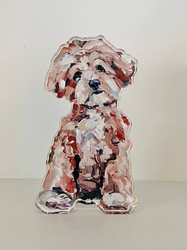 "Maltipoo Apricot" acrylic shelfie - Something Splendid Co.