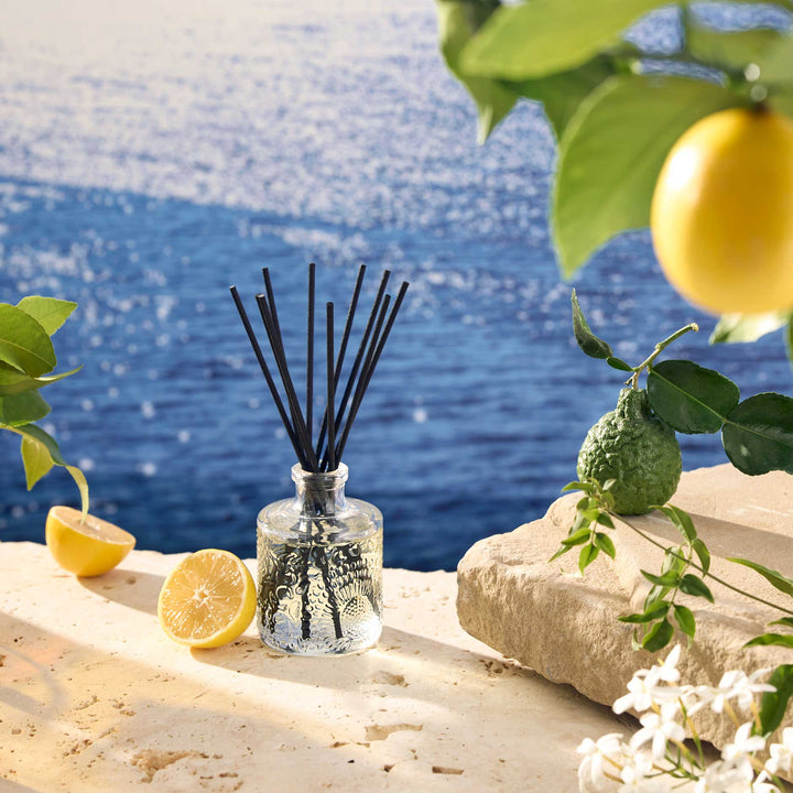 Mediterranean Lemon Reed Diffuser - Something Splendid Co.