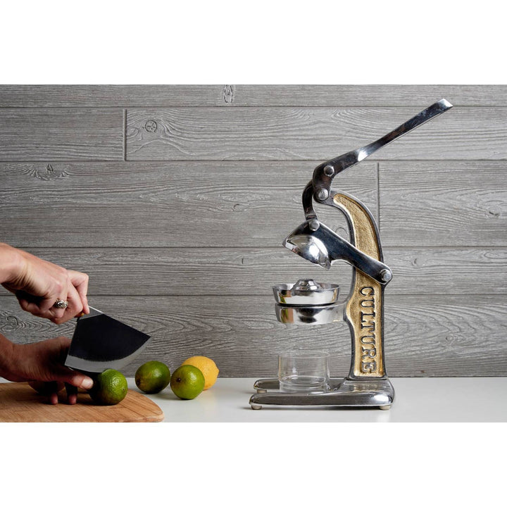 Mexican Citrus Juicer: Gold - Something Splendid Co.