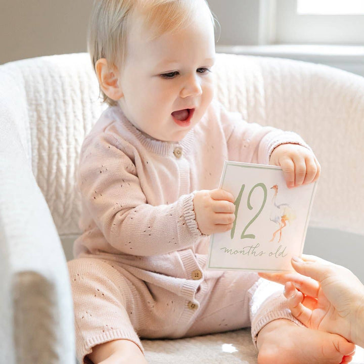 Milestone Cards - Something Splendid Co.