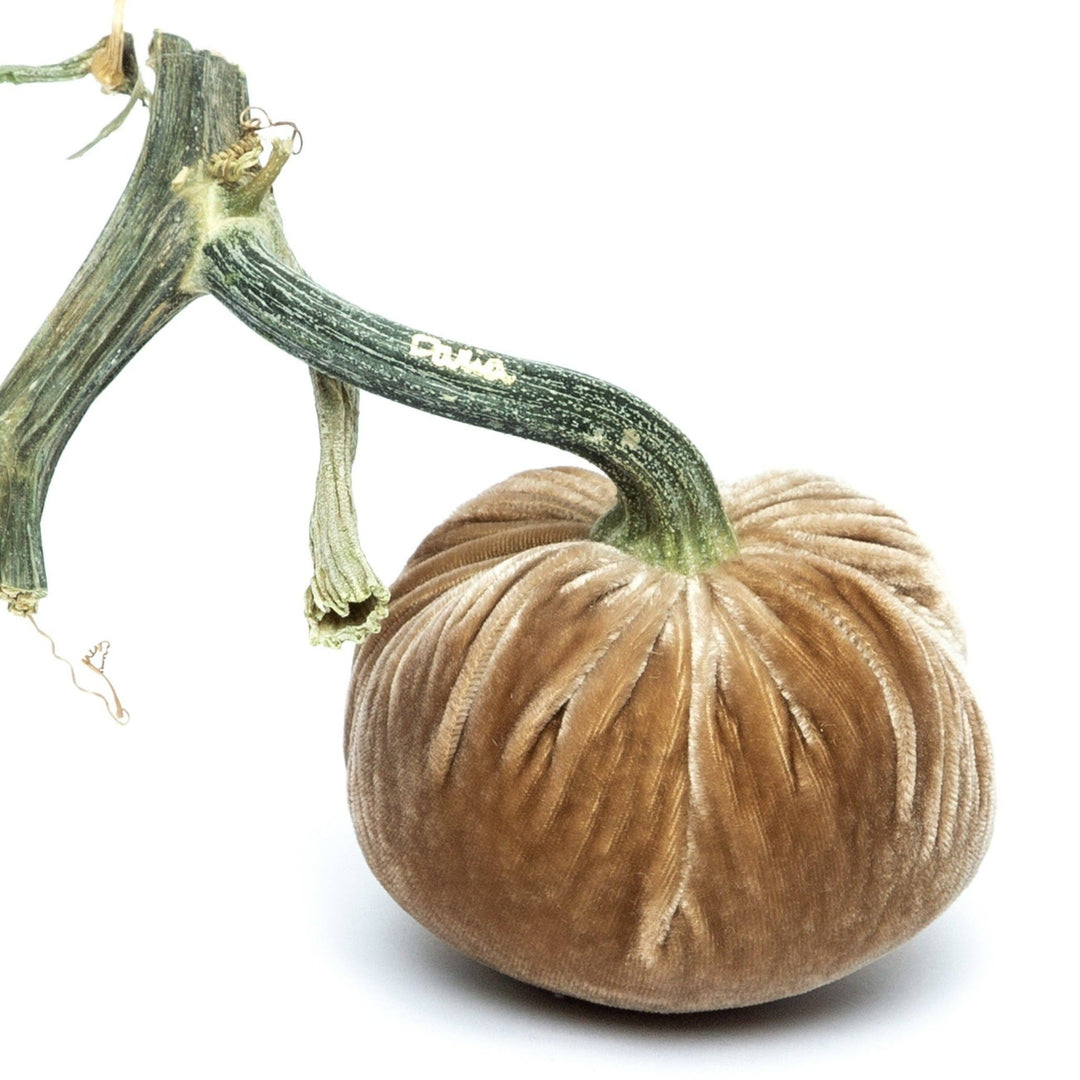 Mocha Silk Velvet Pumpkin - Something Splendid Co.