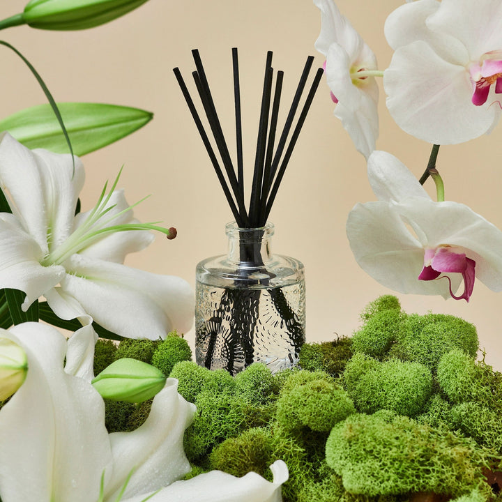 Mokara Reed Diffuser - Something Splendid Co.