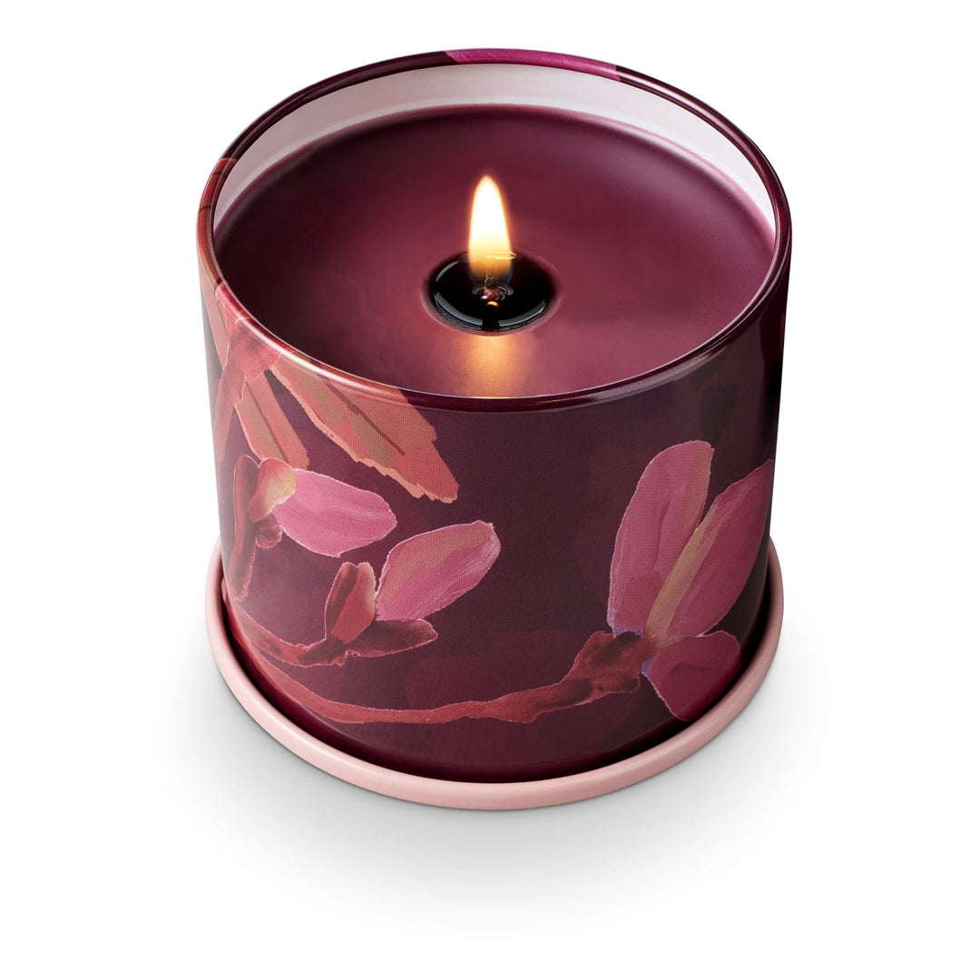 Oleander Oak Vanity Tin Candle - Something Splendid Co.