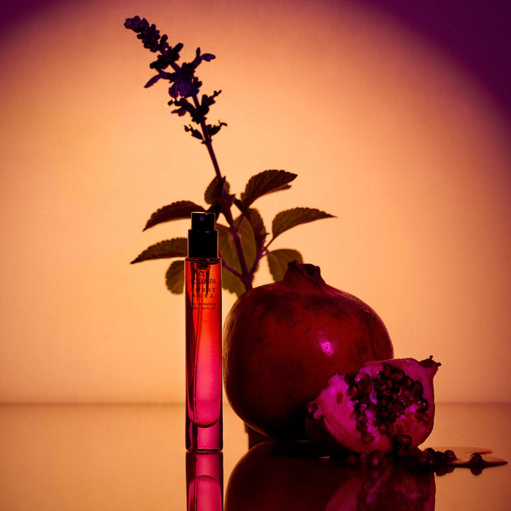 Ombre Aura Perfume - Something Splendid Co.