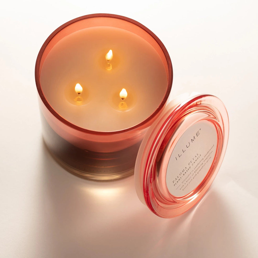 Paloma Petal Statement Glass Candle - Something Splendid Co.