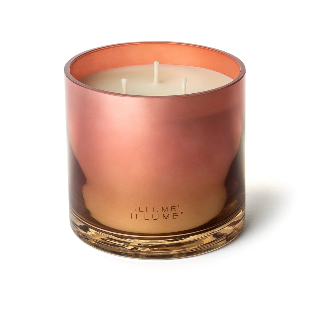 Paloma Petal Statement Glass Candle - Something Splendid Co.
