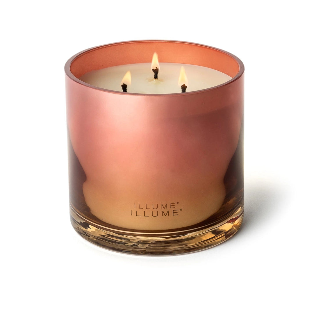 Paloma Petal Statement Glass Candle - Something Splendid Co.
