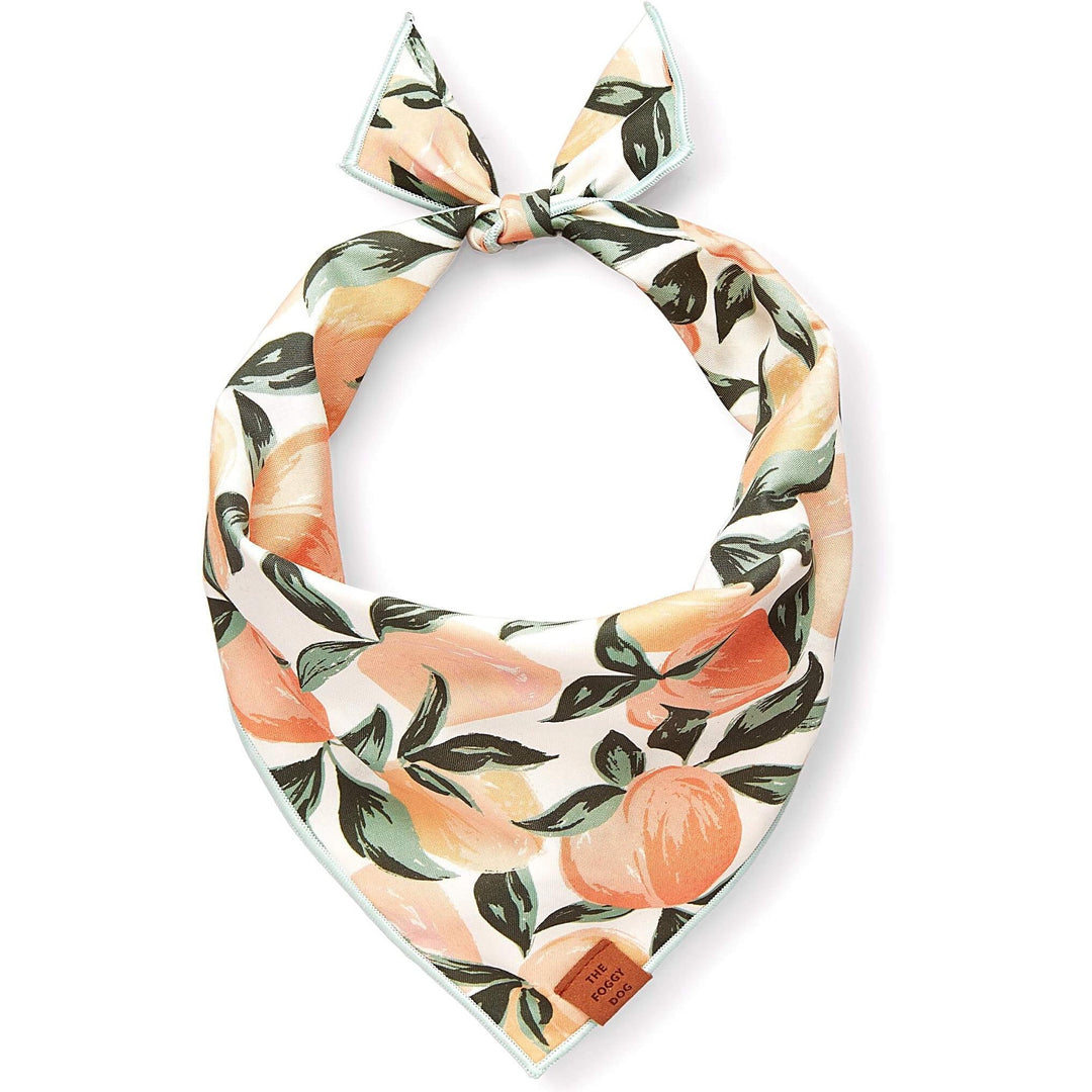 Peaches and Cream Dog Bandana - Something Splendid Co.