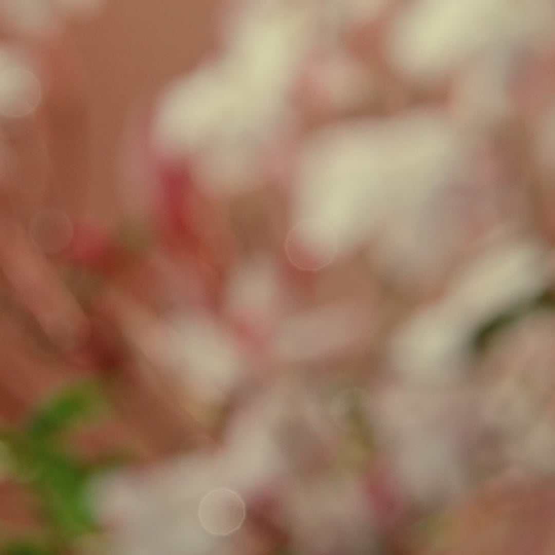 Nude Effect 55mL Perfume