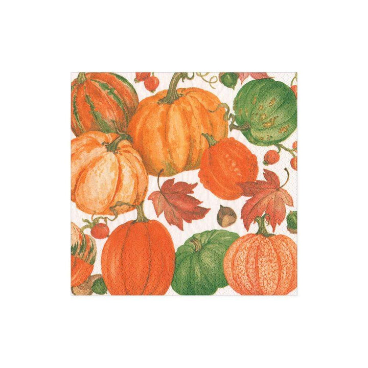 Pumpkin Field White Cocktail Napkins - Something Splendid Co.