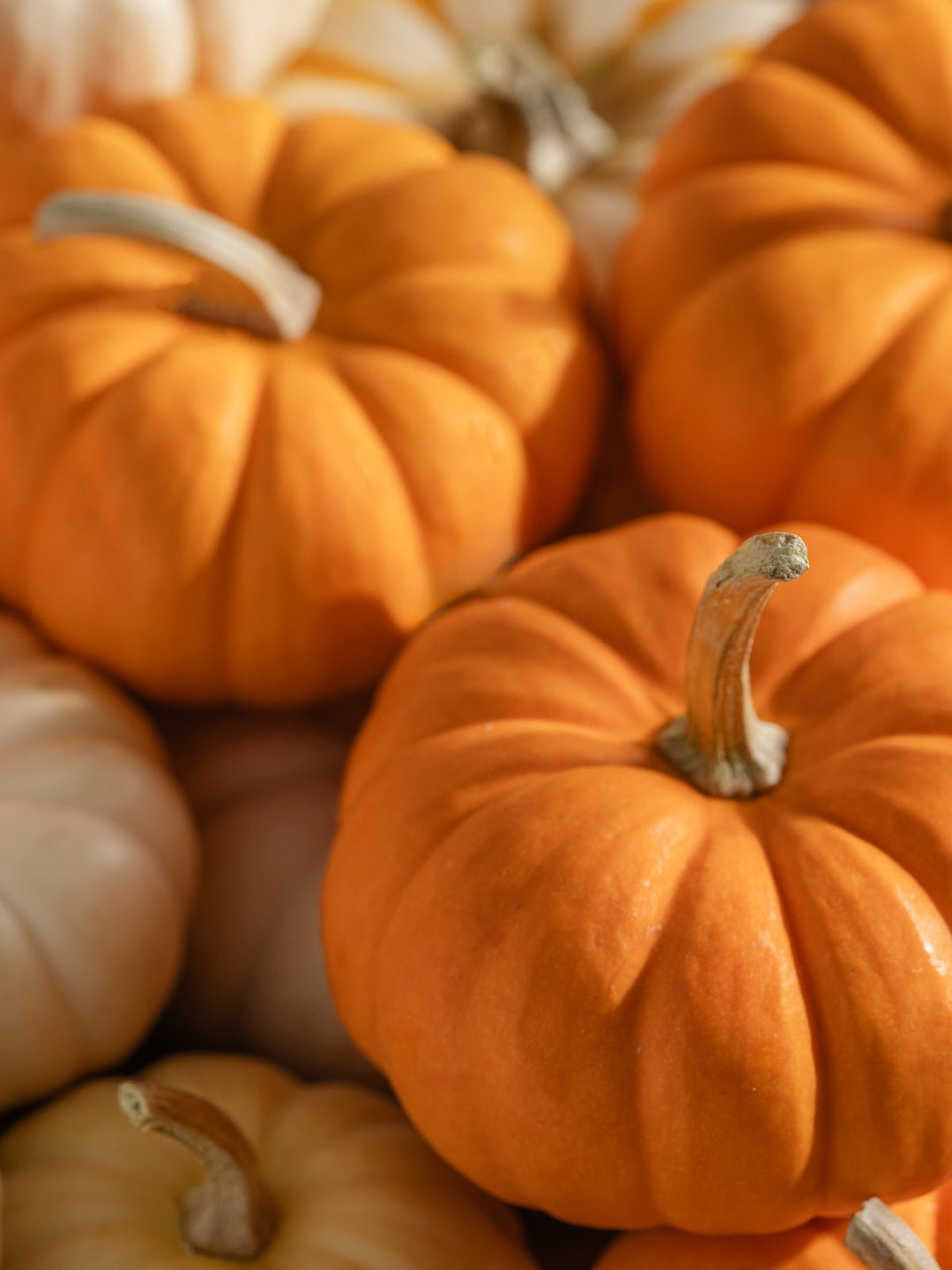 Pumpkin Picking | Pura Smart Vial - Something Splendid Co.