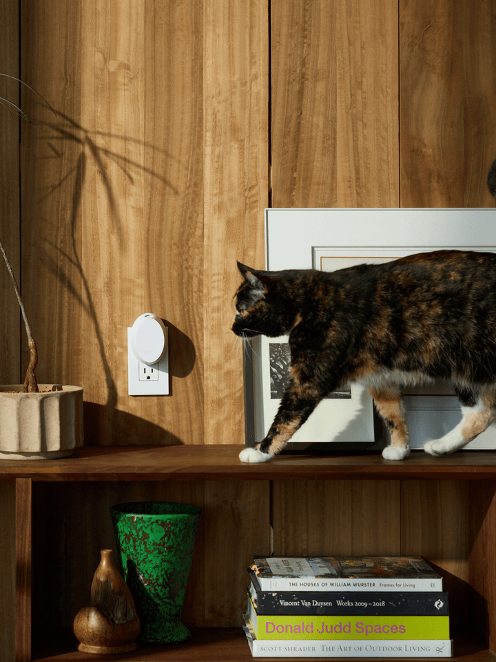 Pura Mini Device - Something Splendid Co.
